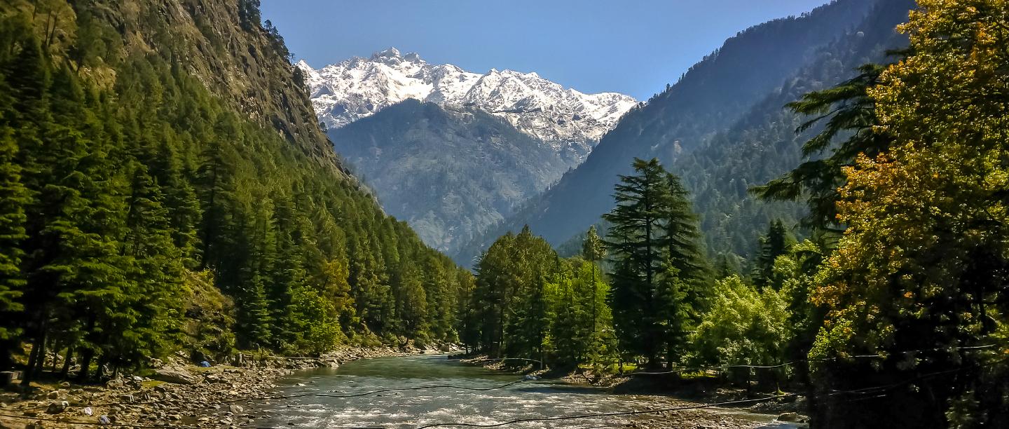 Hills, Hikes and Hippies: Your Detailed Travel Guide To Kasol