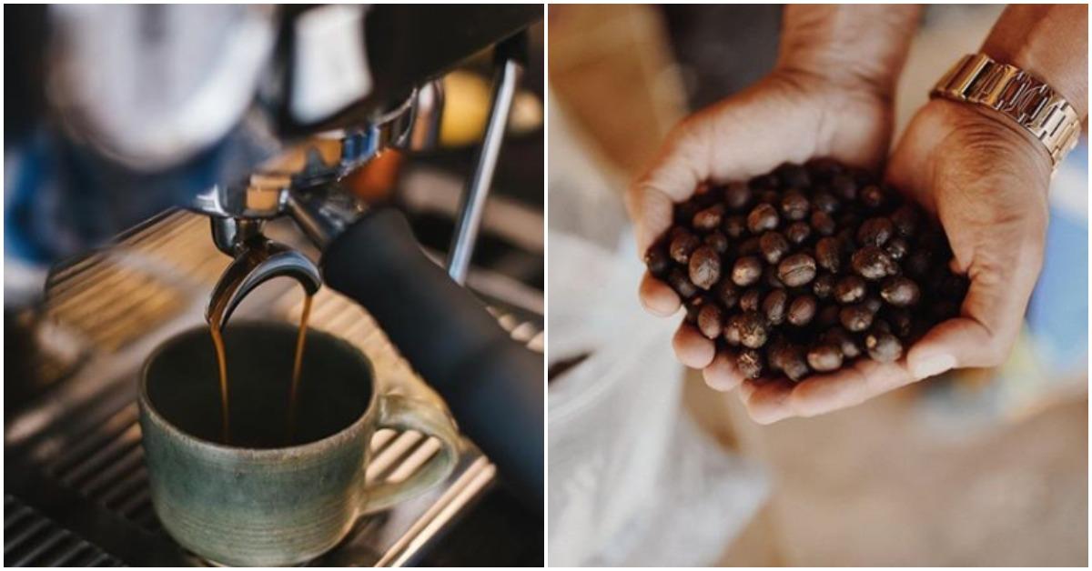 From French Press To Filter Coffee: Here Are Bengaluru&#8217;s Best Coffee Roasters!