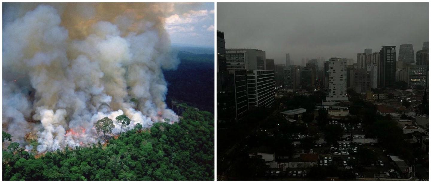#PrayForTheAmazon: Everything You Need To Know About The Intense Forest Fires In Brazil