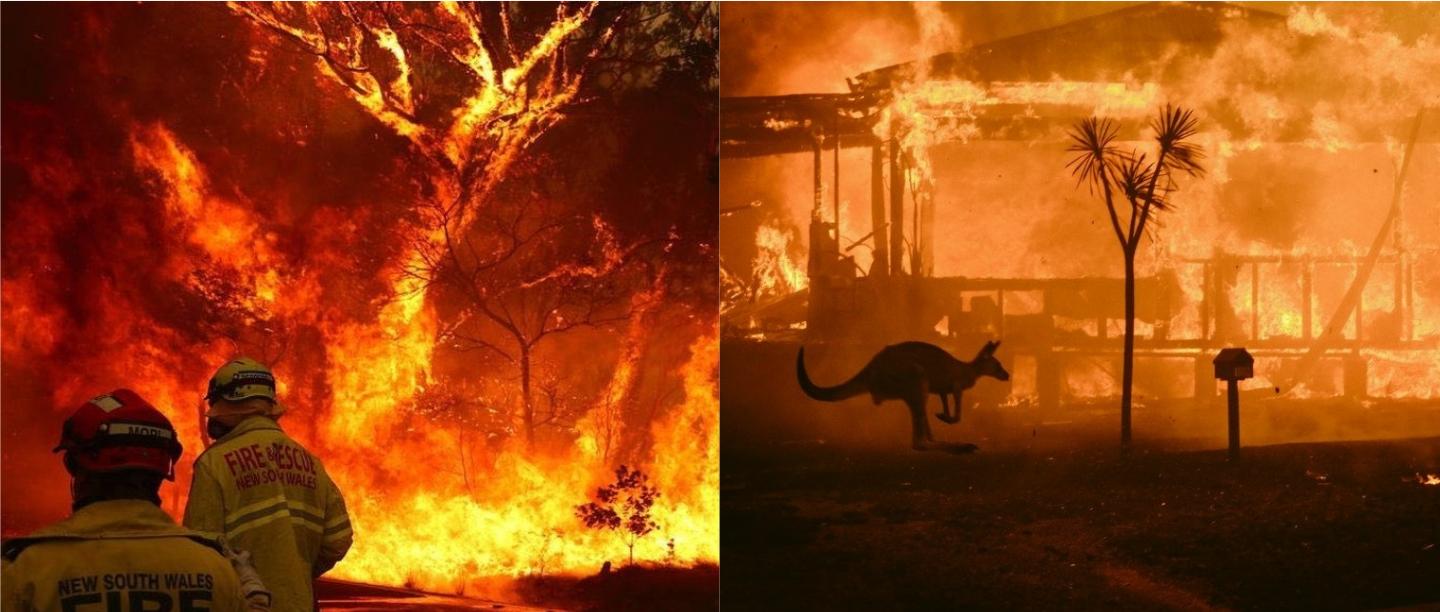 #PrayForAustralia: Terrifying Images That Show The Damage Caused By Bushfires