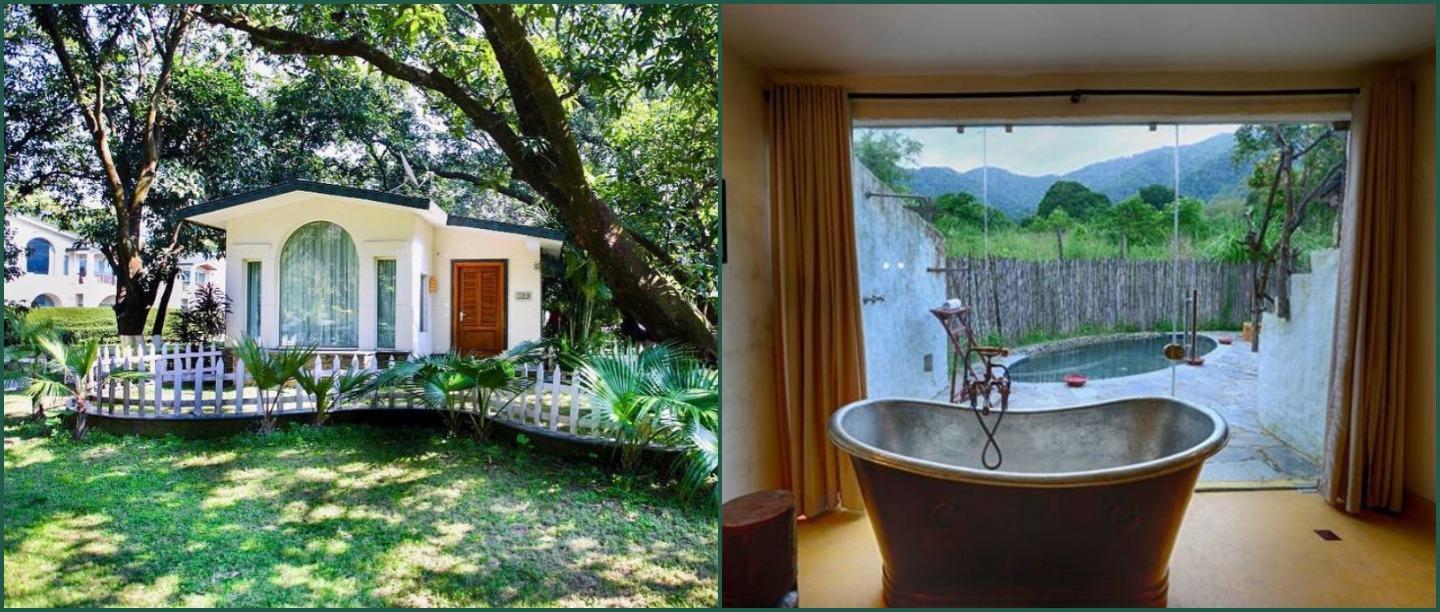 Love Nature, Wildlife And Luxury? Stay At These 6 Resorts In Jim Corbett