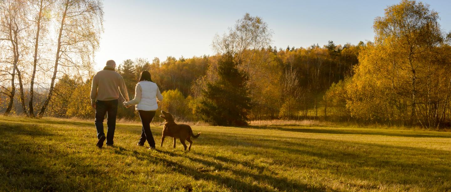 Bring Home A Furry Friend: Survey Claims Couples Who Raise A Dog Together Are Happier