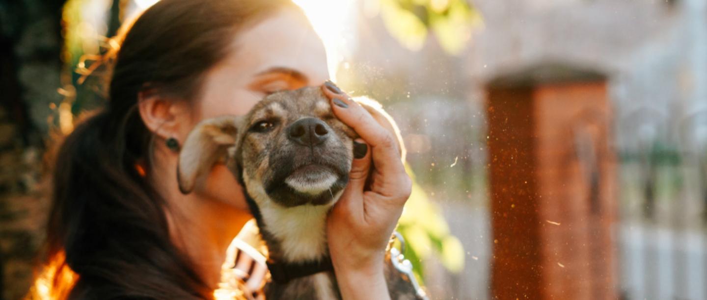 Planning To Bring Home A Pet?  Ask Yourself These 7 Important Questions First