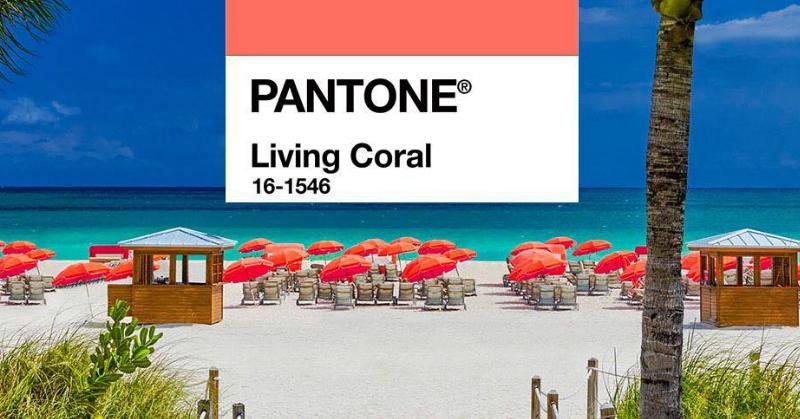 BREAKING NEWS: The Pantone Colour Of The Year 2019 Is What We Are &#8216;Living&#8217; For!