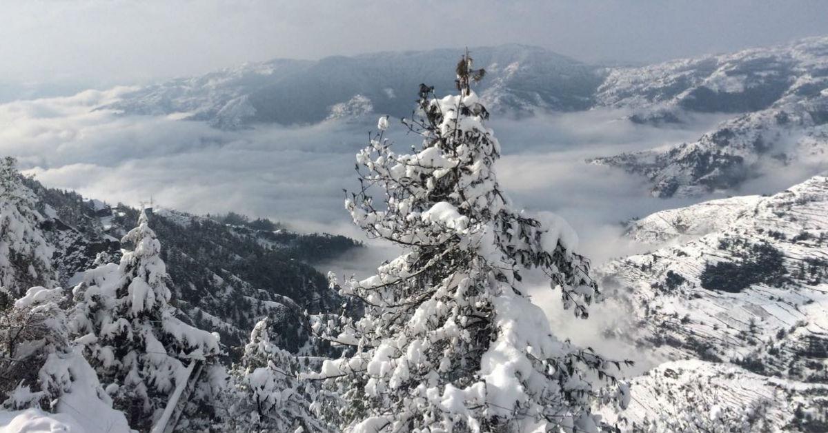 Shimla Is Calling You For The Long Weekend And Here&#8217;s Why!