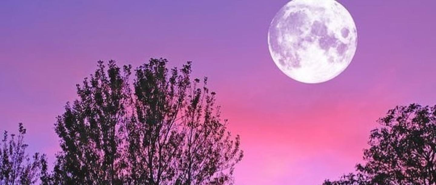 Super Pink Moon 2020: Watch The Biggest Moon Tonight To Calm Your Lockdown Anxiety