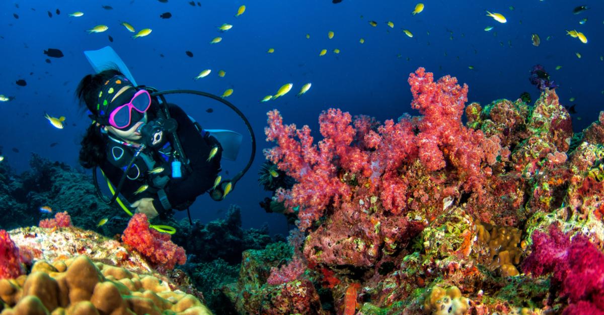 5 Best Scuba Diving Spots In The Country
