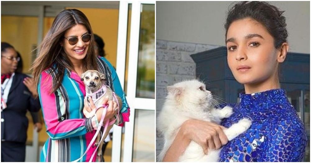 8 Bollywood Celebs With Their Cute Pets Will Make Your Heart Go &#8216;Paw Wow&#8217;