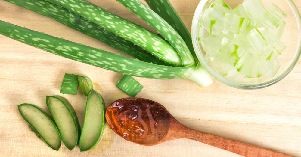 16 Reasons Why You Should Say &#8216;I Love You&#8217; To Aloe Vera This Valentine&#8217;s Day