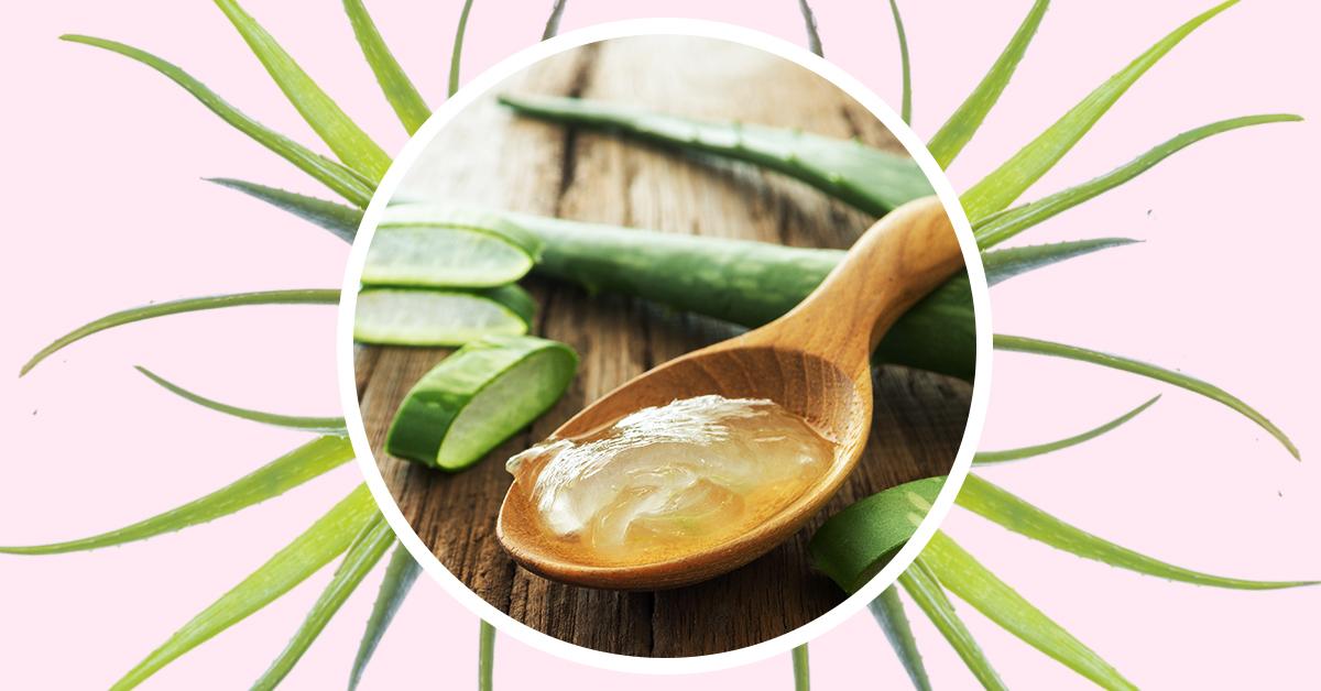 Benefits Of Aloe Vera That Will Convince You To Add It To Your Garden ASAP