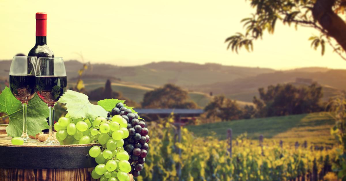 6 Beautiful Vineyards In The World For Your ‘Grape’ Escape!