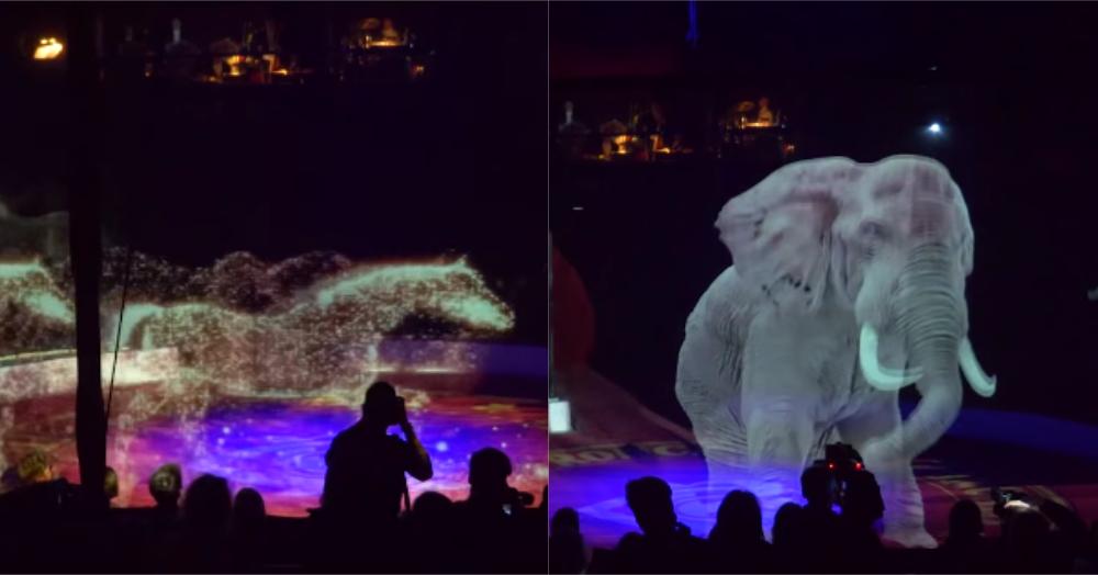 No More Cruelty: This German Circus Is Using Beautiful Holograms Instead Of Real Animals