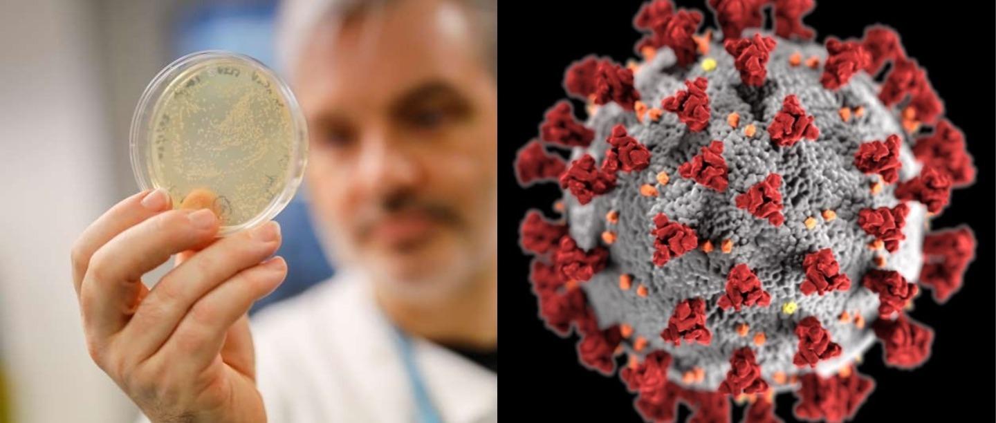 Coronavirus Is Mutating Into Newer, More Contagious Strain &amp; Here&#8217;s Why It&#8217;s Bad News