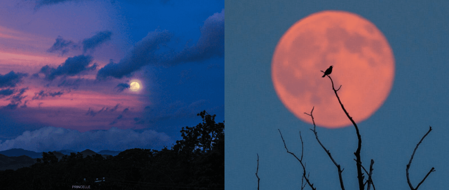 Strawberry Moon Eclipse Is Here To Give Us Some Respite, Watch It Tonight