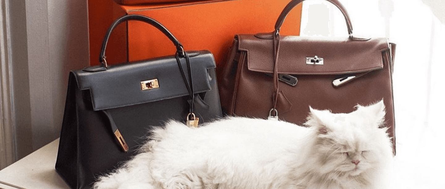 How To Buy A Birkin: The All-You-Need-To-Know Guide To Snag The Bag!