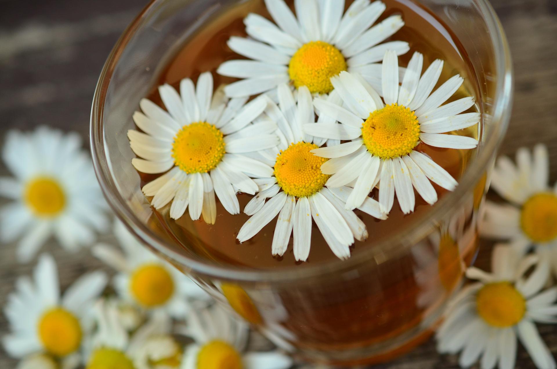 Chamomile Tea Can Silently Help You With Your New Year Weight Loss Resolutions