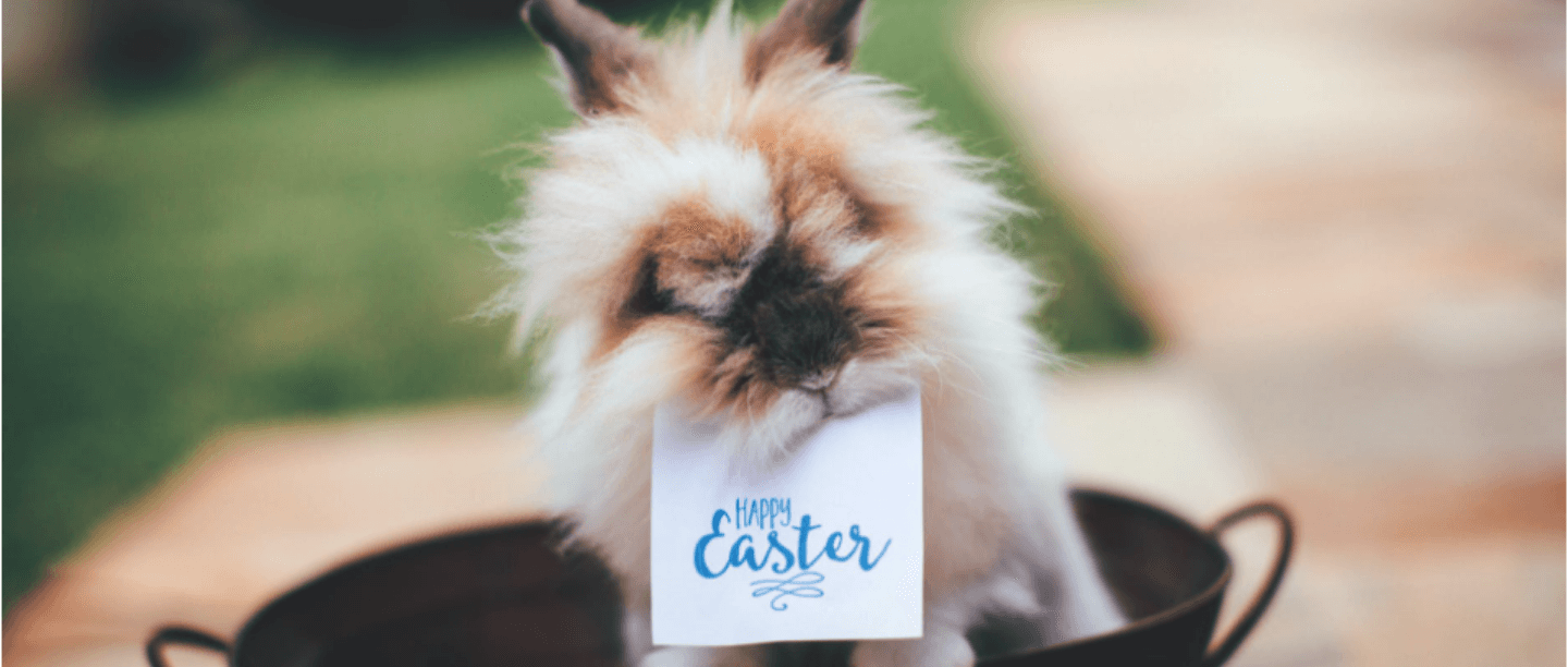 ideas to celebrate easter