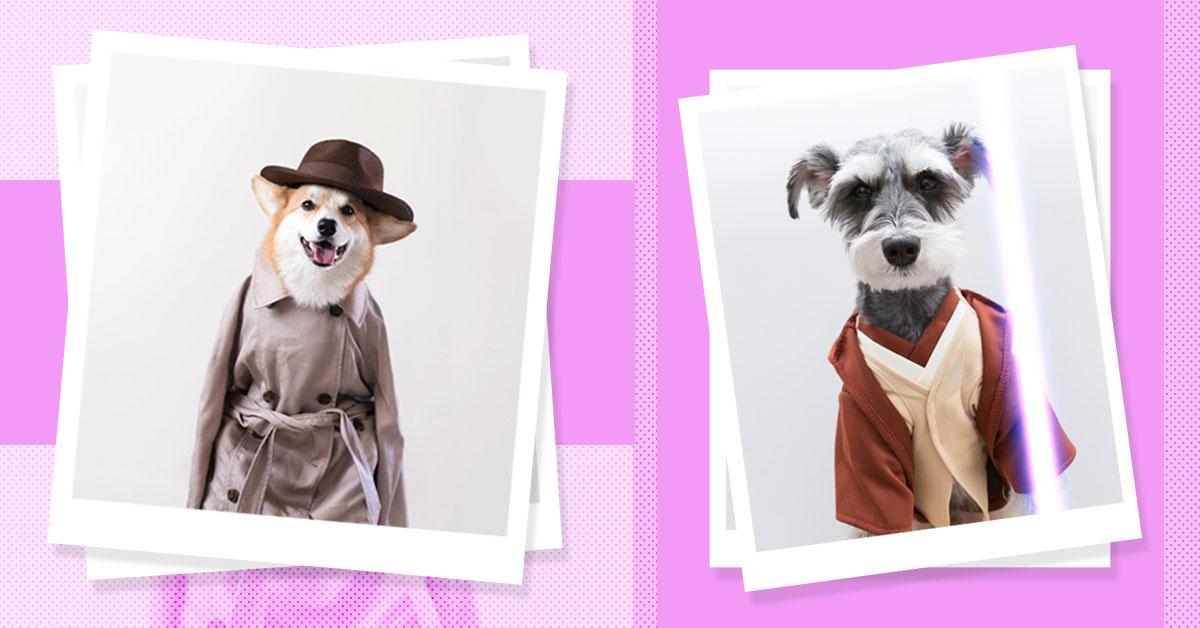 18 Fashionable Pooches That Will Make Your Tuesday Awww-some AF!