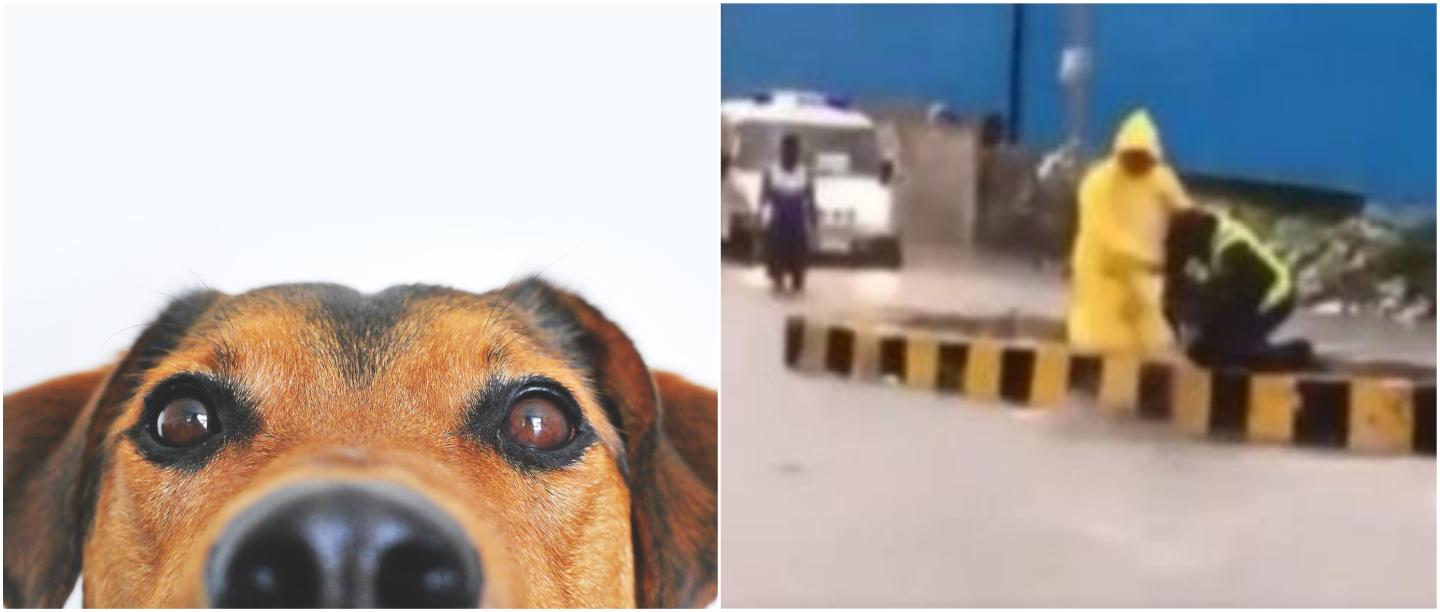 VIDEO: It&#8217;s A Monsoon Miracle! Mumbai Cop Saves Dog From Drowning During Heavy Rain
