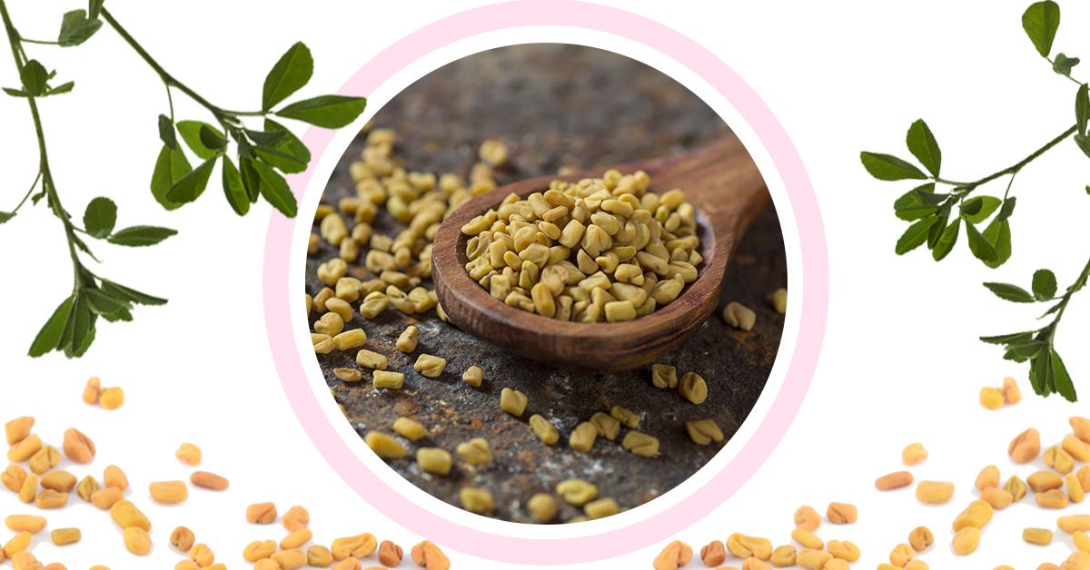Fenugreek Goodness: Here&#8217;s Why These Seeds Are Amazing For Your Face, Skin And Hair!