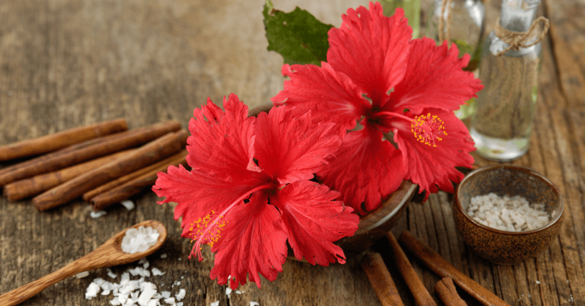 #TropicalParadise: Everything You Need To Know About Hibiscus Oil