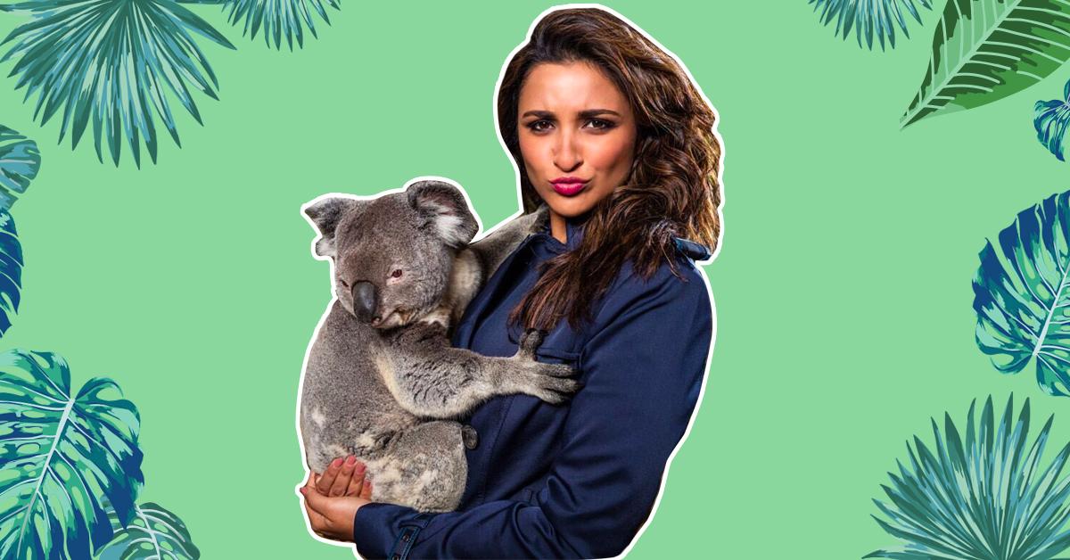 Parineeti Posted A Picture With A Koala &amp; The Comments Were INSANE!
