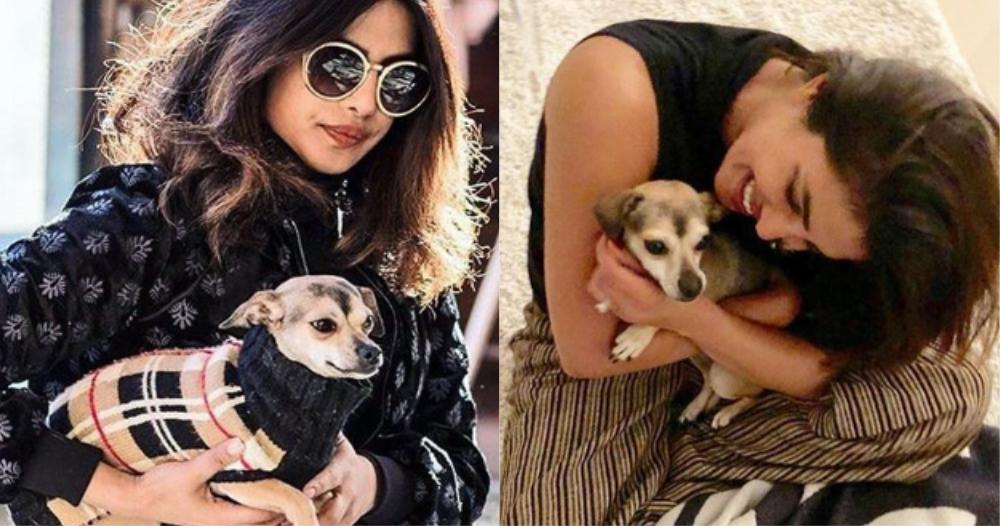 11 Times PeeCee &amp; Her Doggo Proved To Be The Besties of The Universe!