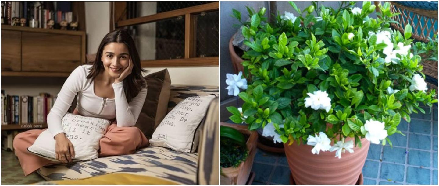 7 Home Fragrance Products Under Rs 500 That Will Make Your Home Smell Like A Lush Garden!