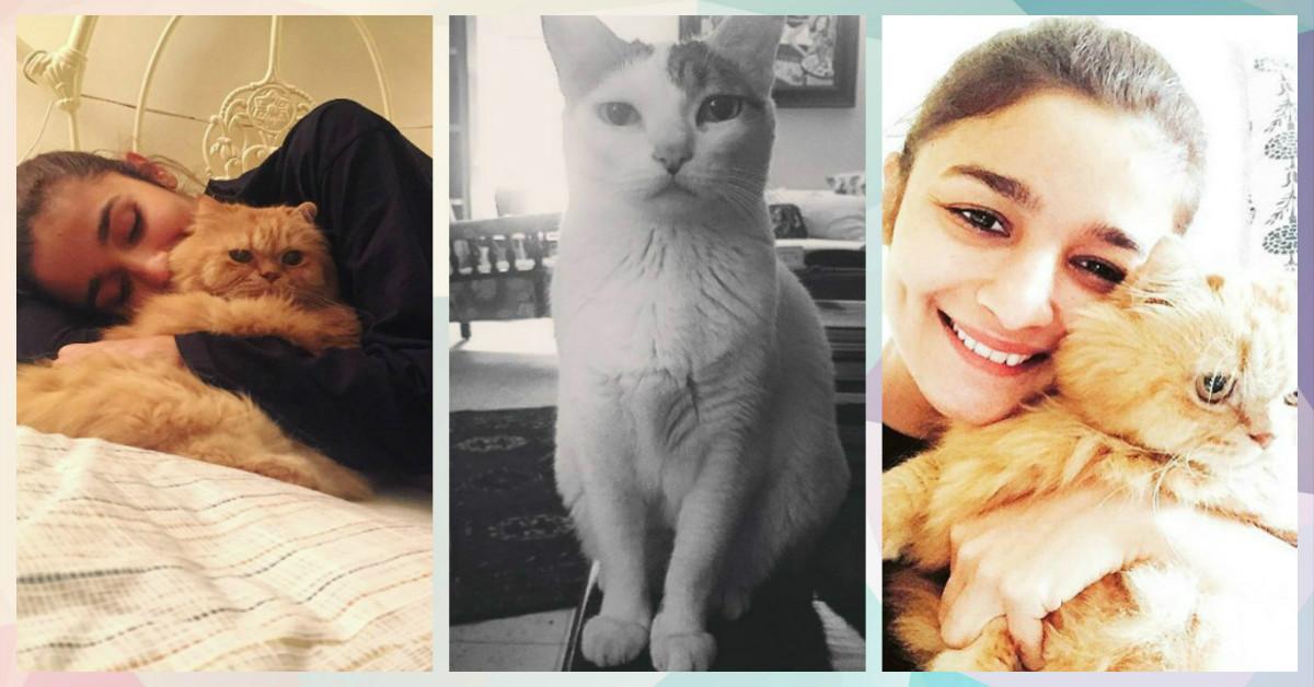 5 Times Alia Bhatt Made Us Love… CATS!