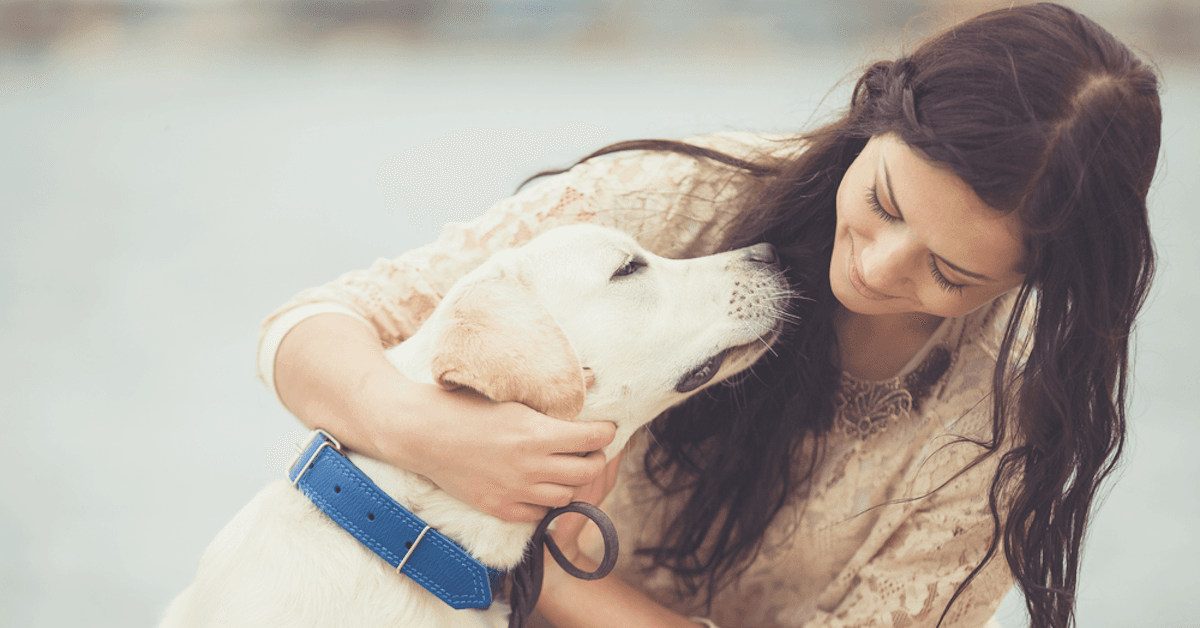 11 Things You Will Totally Get If Your Pet Is Your Bestie!