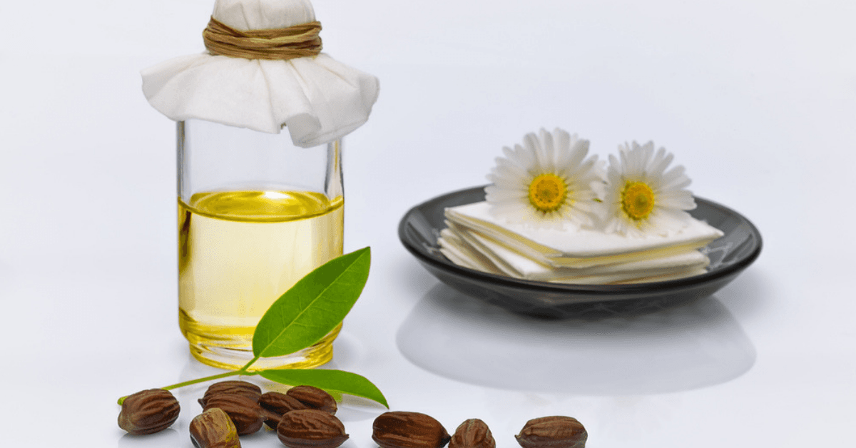 Jojoba Oil Benefits For Skin &amp; Hair : Everything You Need To Know About The Healing Oil